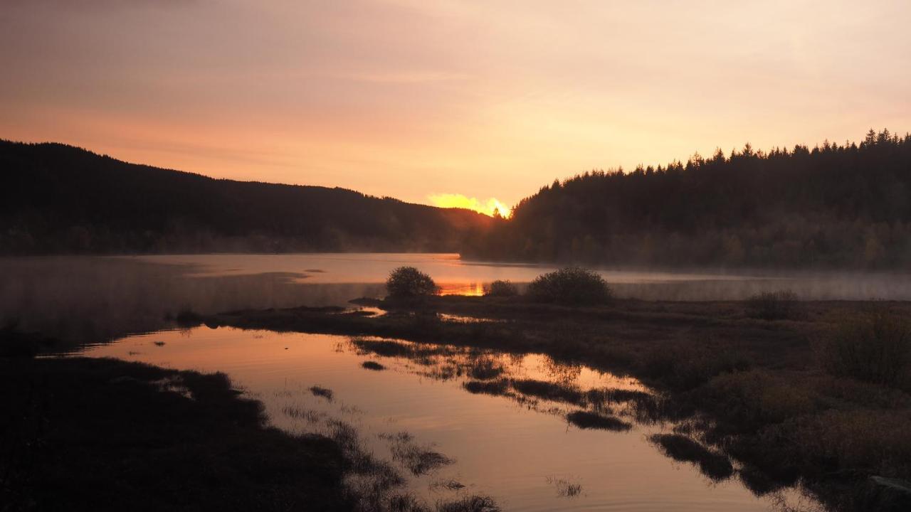 C3 Albmatte-Fewo Sauna, Hallenbad Aussenbecken Massagen Nebenan St. Blasien Dış mekan fotoğraf