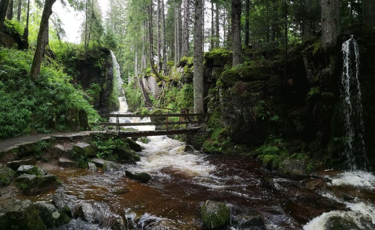 C3 Albmatte-Fewo Sauna, Hallenbad Aussenbecken Massagen Nebenan St. Blasien Dış mekan fotoğraf
