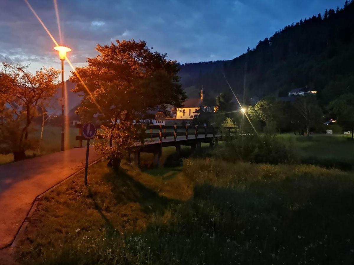C3 Albmatte-Fewo Sauna, Hallenbad Aussenbecken Massagen Nebenan St. Blasien Dış mekan fotoğraf