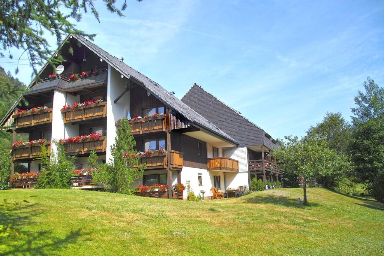 C3 Albmatte-Fewo Sauna, Hallenbad Aussenbecken Massagen Nebenan St. Blasien Dış mekan fotoğraf