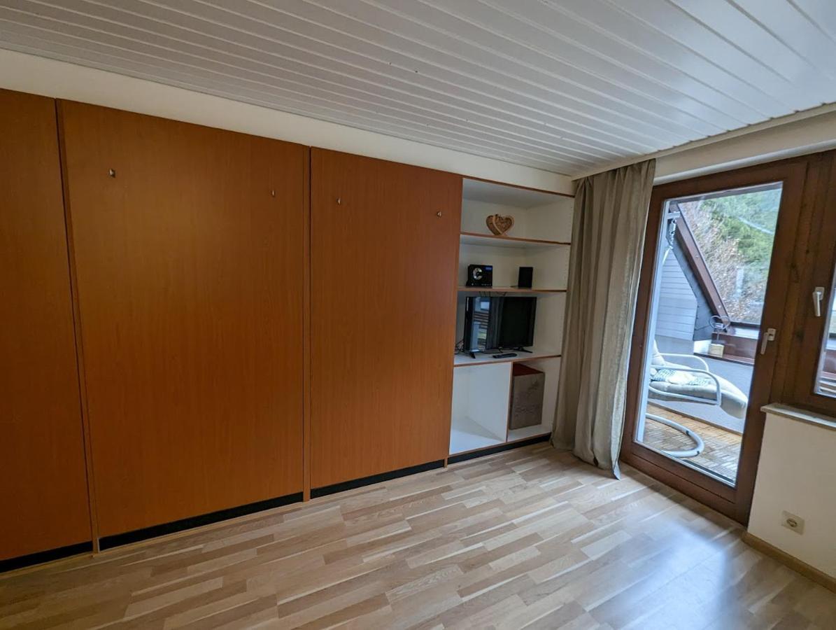 C3 Albmatte-Fewo Sauna, Hallenbad Aussenbecken Massagen Nebenan St. Blasien Dış mekan fotoğraf