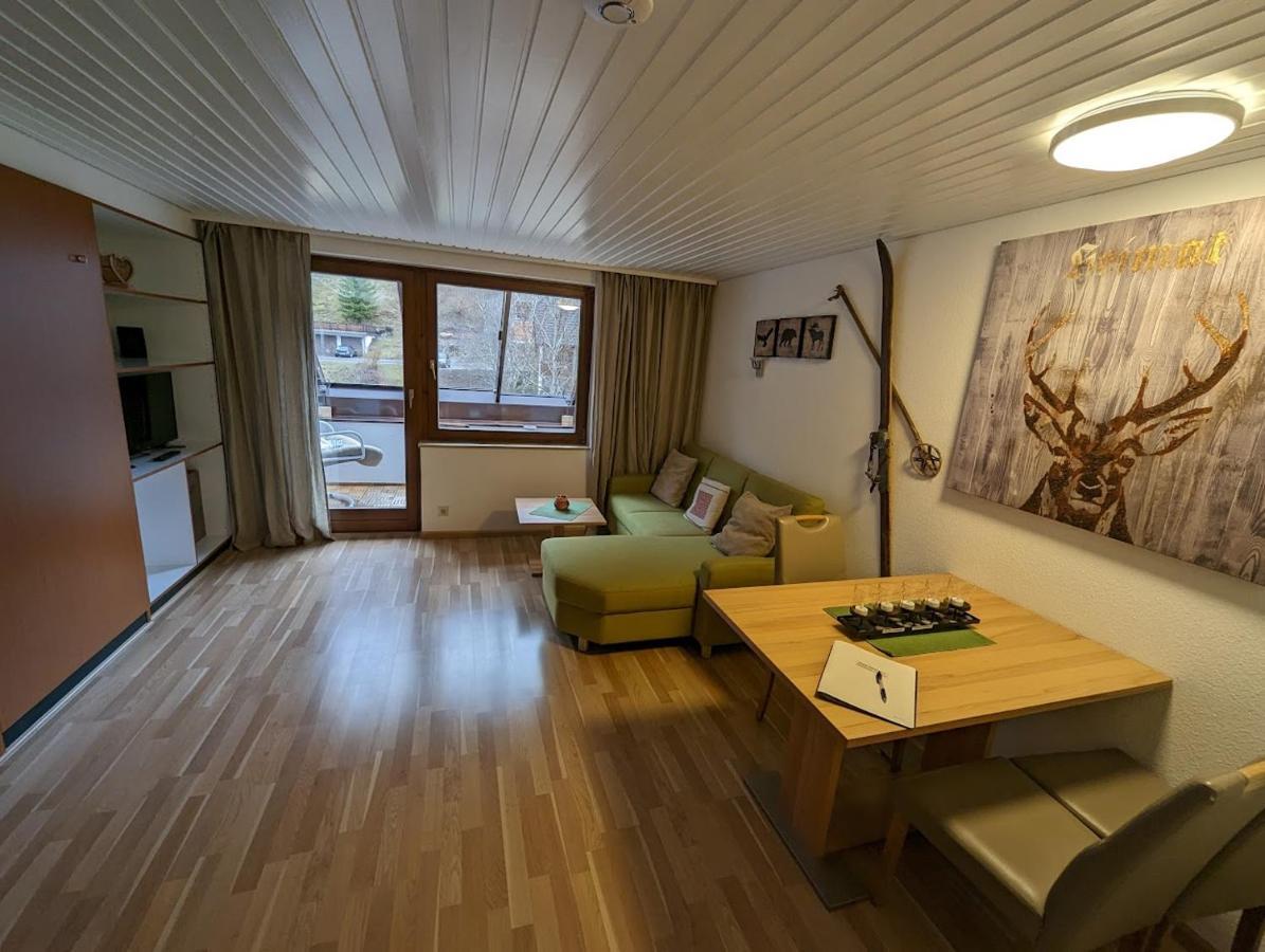 C3 Albmatte-Fewo Sauna, Hallenbad Aussenbecken Massagen Nebenan St. Blasien Dış mekan fotoğraf