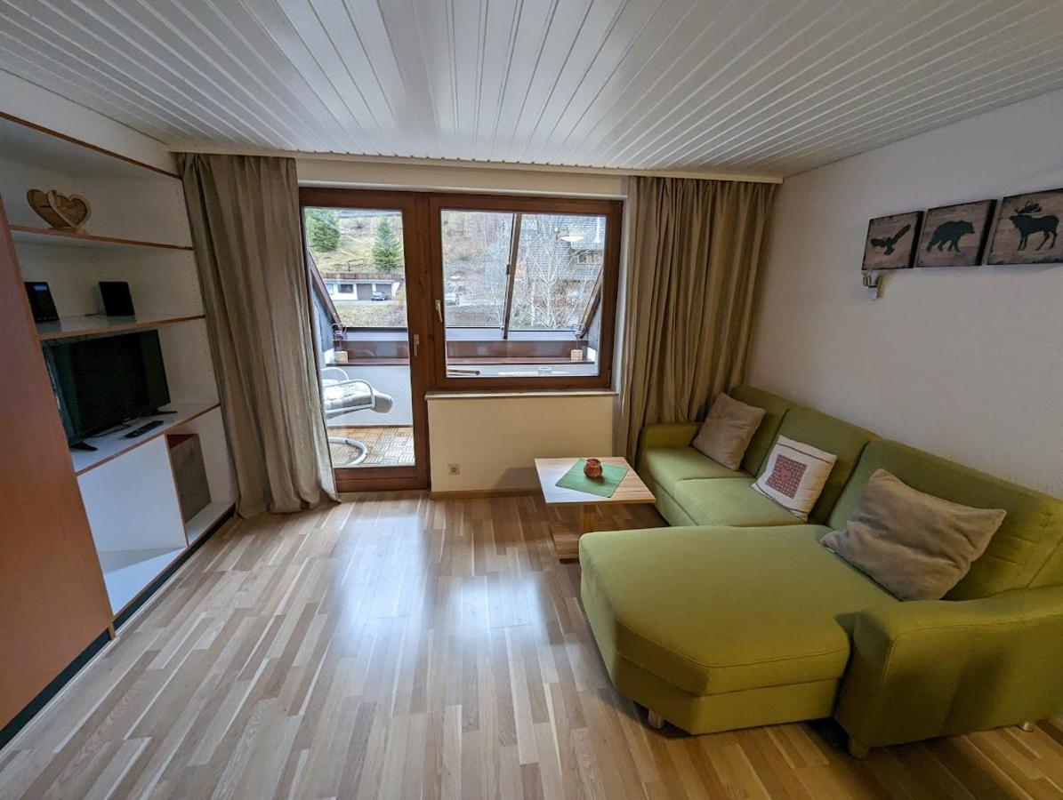 C3 Albmatte-Fewo Sauna, Hallenbad Aussenbecken Massagen Nebenan St. Blasien Dış mekan fotoğraf