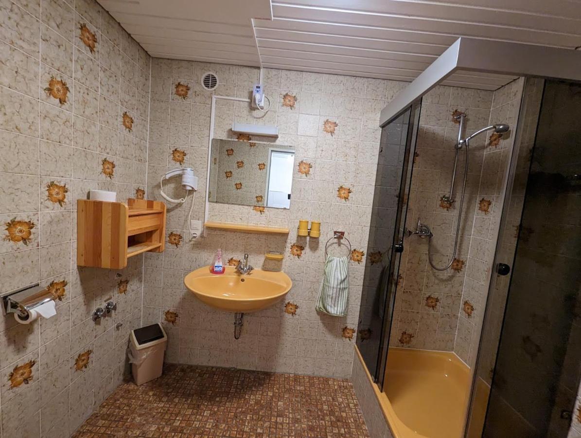 C3 Albmatte-Fewo Sauna, Hallenbad Aussenbecken Massagen Nebenan St. Blasien Dış mekan fotoğraf