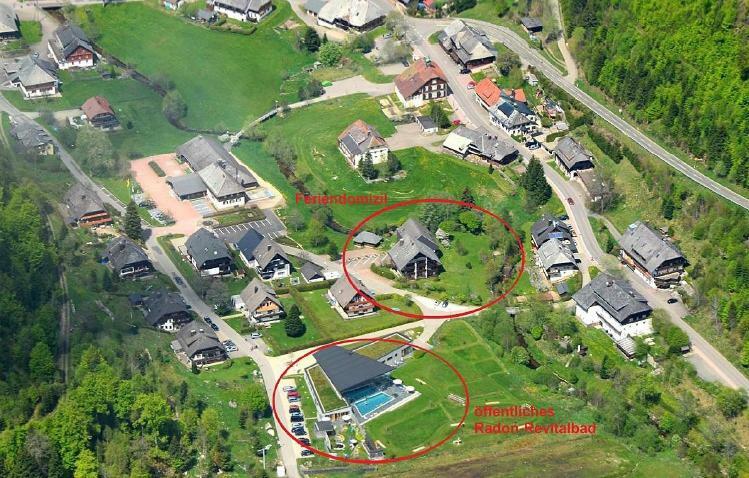 C3 Albmatte-Fewo Sauna, Hallenbad Aussenbecken Massagen Nebenan St. Blasien Dış mekan fotoğraf