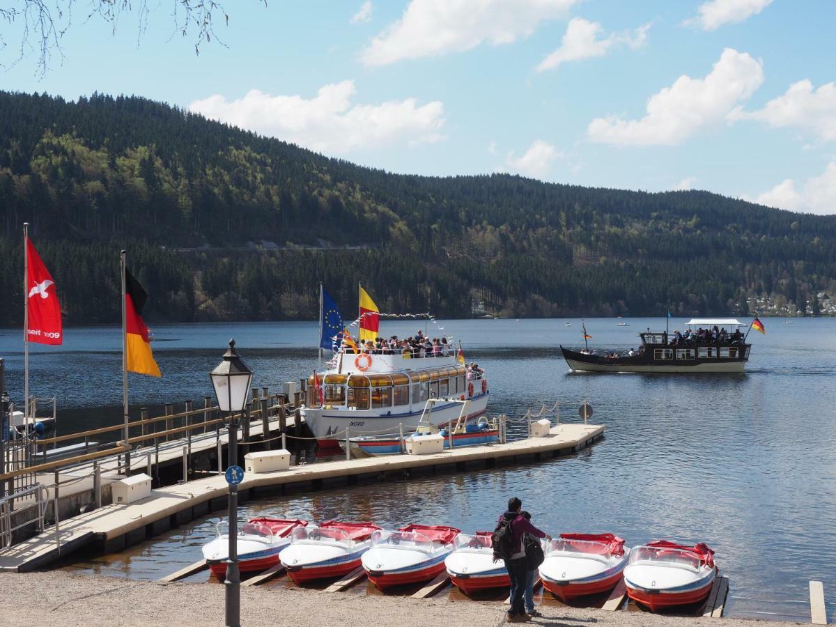 C3 Albmatte-Fewo Sauna, Hallenbad Aussenbecken Massagen Nebenan St. Blasien Dış mekan fotoğraf