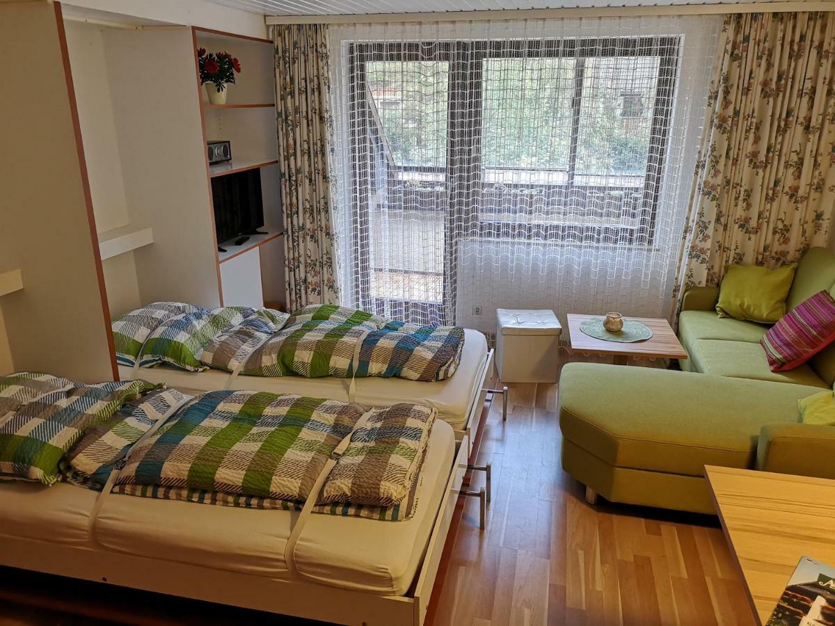 C3 Albmatte-Fewo Sauna, Hallenbad Aussenbecken Massagen Nebenan St. Blasien Dış mekan fotoğraf