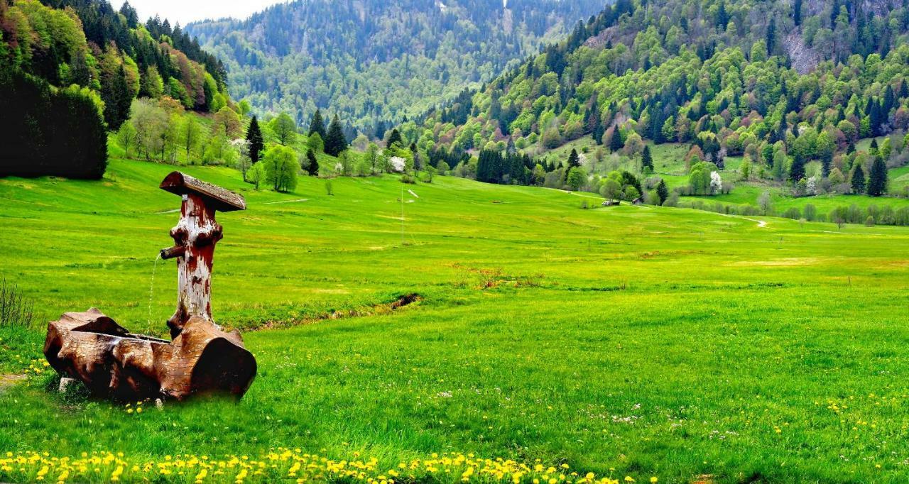 C3 Albmatte-Fewo Sauna, Hallenbad Aussenbecken Massagen Nebenan St. Blasien Dış mekan fotoğraf