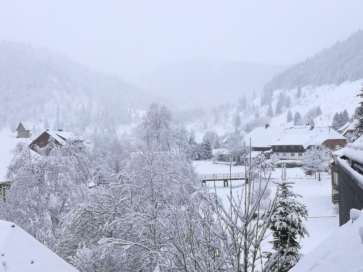 C3 Albmatte-Fewo Sauna, Hallenbad Aussenbecken Massagen Nebenan St. Blasien Dış mekan fotoğraf
