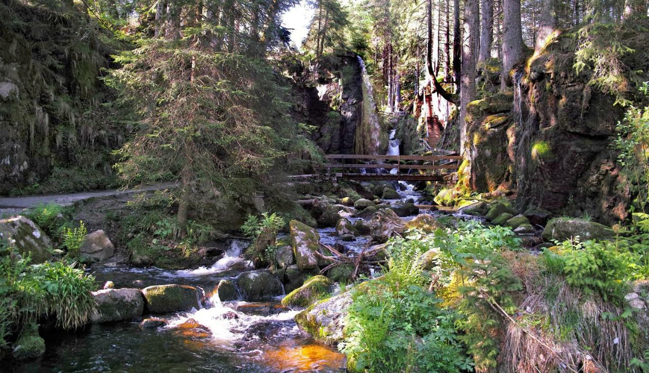 C3 Albmatte-Fewo Sauna, Hallenbad Aussenbecken Massagen Nebenan St. Blasien Dış mekan fotoğraf