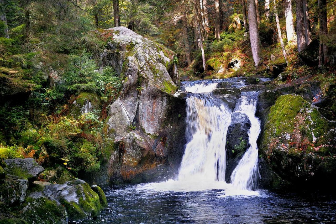 C3 Albmatte-Fewo Sauna, Hallenbad Aussenbecken Massagen Nebenan St. Blasien Dış mekan fotoğraf