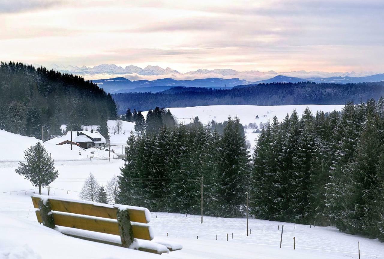 C3 Albmatte-Fewo Sauna, Hallenbad Aussenbecken Massagen Nebenan St. Blasien Dış mekan fotoğraf