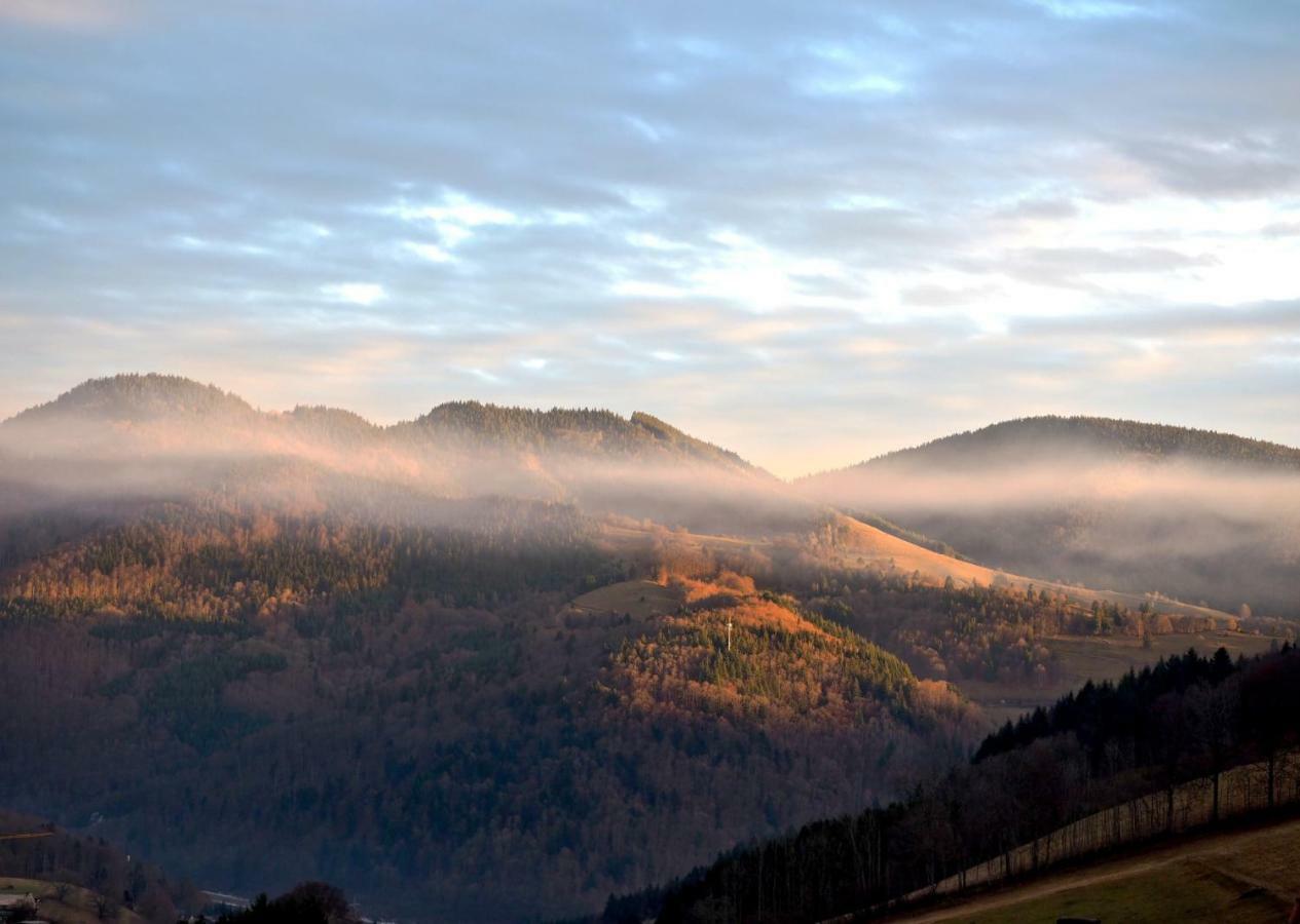 C3 Albmatte-Fewo Sauna, Hallenbad Aussenbecken Massagen Nebenan St. Blasien Dış mekan fotoğraf