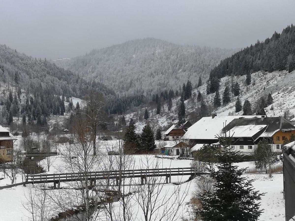C3 Albmatte-Fewo Sauna, Hallenbad Aussenbecken Massagen Nebenan St. Blasien Dış mekan fotoğraf