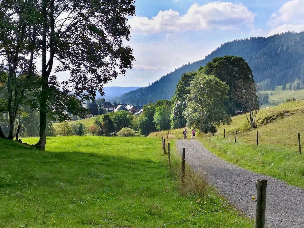 C3 Albmatte-Fewo Sauna, Hallenbad Aussenbecken Massagen Nebenan St. Blasien Dış mekan fotoğraf