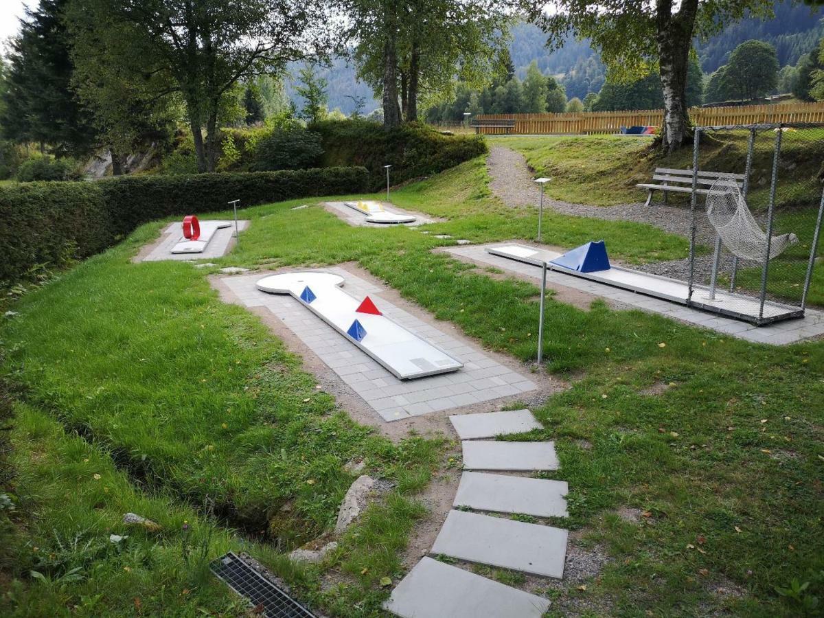 C3 Albmatte-Fewo Sauna, Hallenbad Aussenbecken Massagen Nebenan St. Blasien Dış mekan fotoğraf