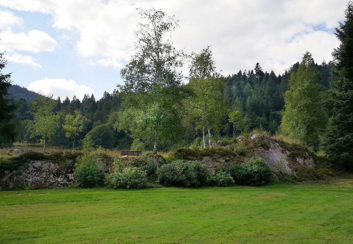 C3 Albmatte-Fewo Sauna, Hallenbad Aussenbecken Massagen Nebenan St. Blasien Dış mekan fotoğraf