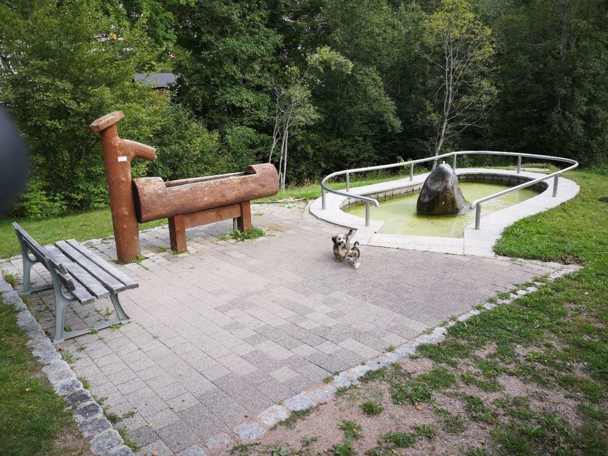 C3 Albmatte-Fewo Sauna, Hallenbad Aussenbecken Massagen Nebenan St. Blasien Dış mekan fotoğraf