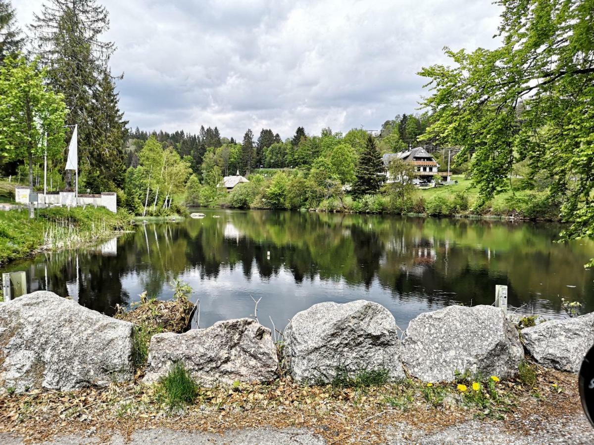 C3 Albmatte-Fewo Sauna, Hallenbad Aussenbecken Massagen Nebenan St. Blasien Dış mekan fotoğraf